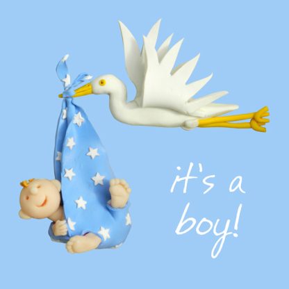 Stork baby boy