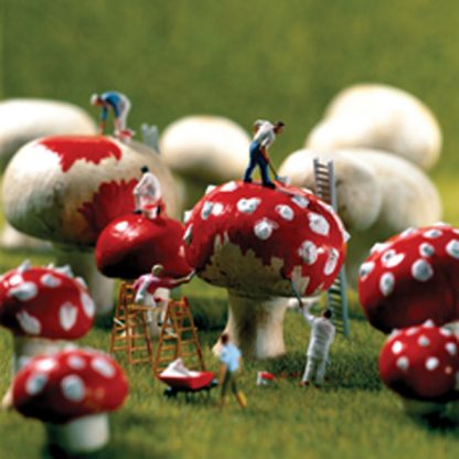 Toadstools