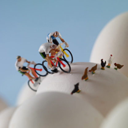 Egg cycling