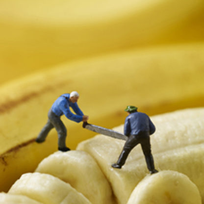 Banana splitters