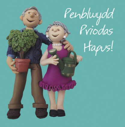 Potplants - Penblwydd Priodas Hapus