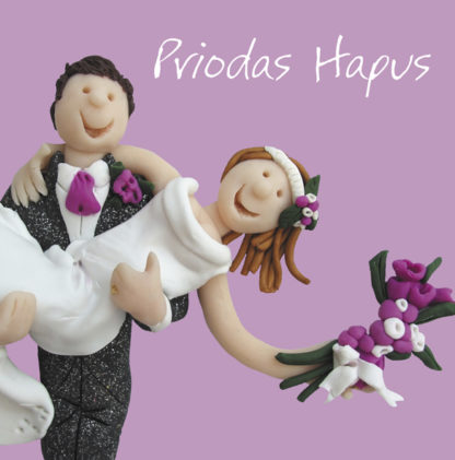 Wedding couple - Priodas hapus
