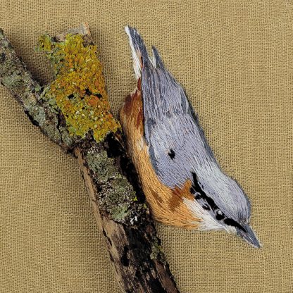 Nuthatch on tree trunk