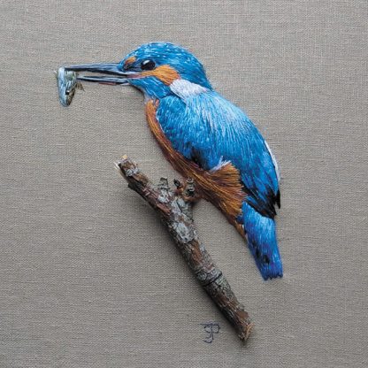 Kingfisher