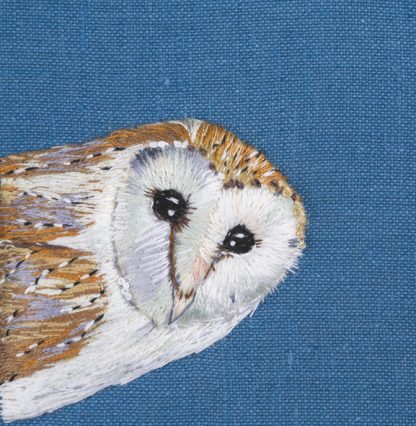 Barn owl