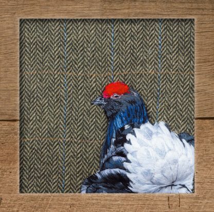 Black grouse on herringbone