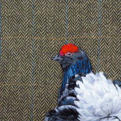 Black grouse on herringbone