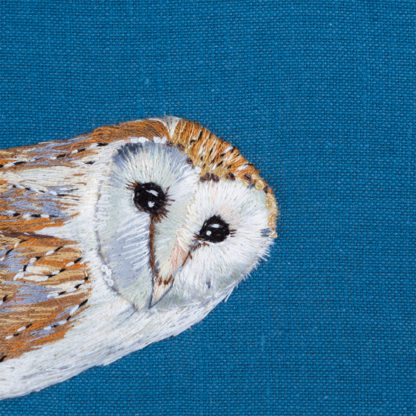 Bright-eyed barn owl