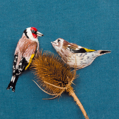 Goldfinch with juvenile