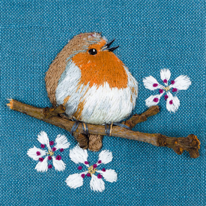 Robin with blossom