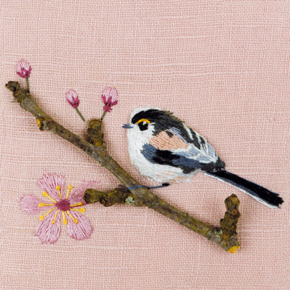 Long tailed tit with blossom