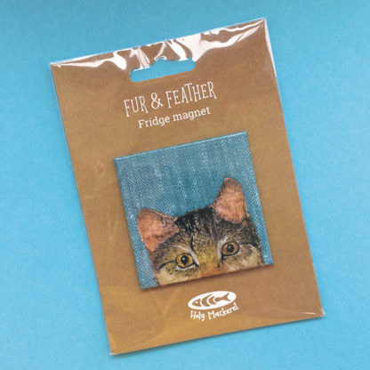 Curious cat fridge magnet