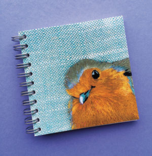 Fur & Feather mini notebooks