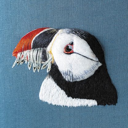 Puffin profile