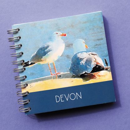 Devon gulls mini notebook