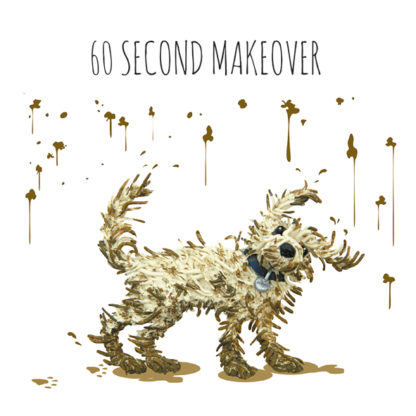 60 second makeover mini card