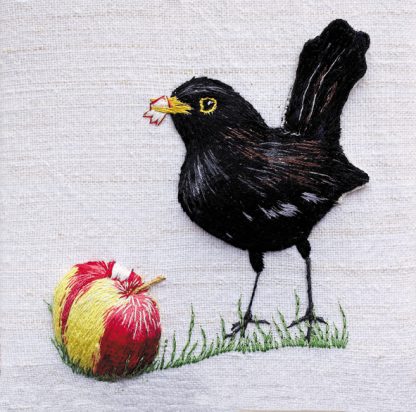 Blackbird with windfall