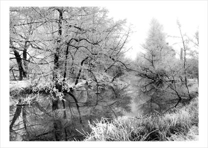 Winter snow landscape