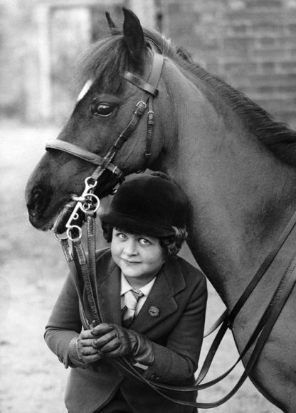 Young horse and rider