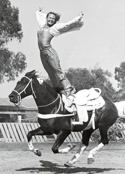Horse stunt