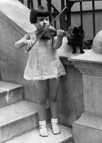 Violin and cat