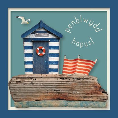 Penblwydd hapus - beach hut