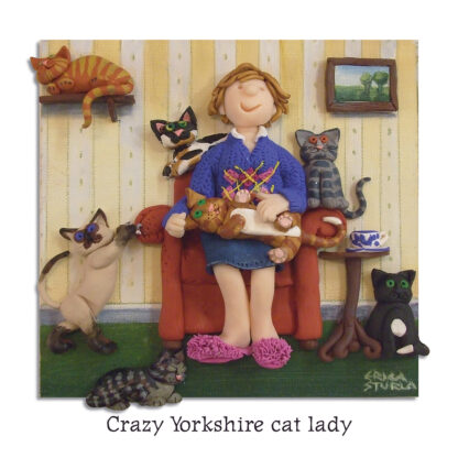 Crazy Yorkshire cat lady
