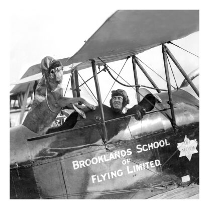 Brooklands School of Flying