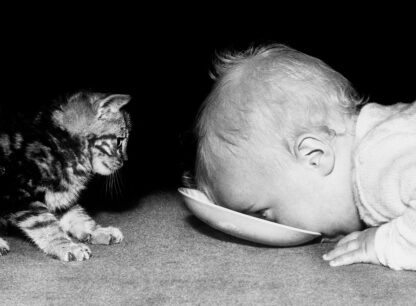 Kitten and baby sharing some milk