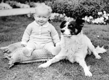 Baby and border collie