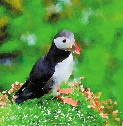 Puffin mini card