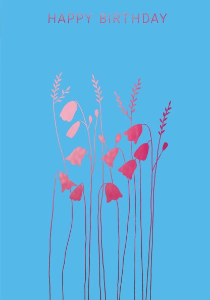 Echinacea  Birthday Pink  Greeting Card