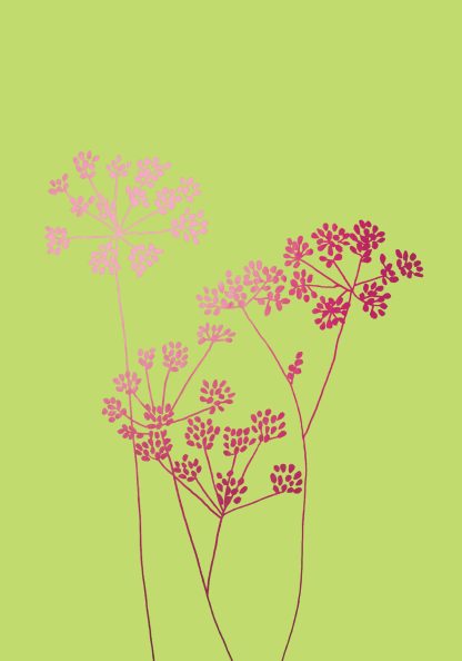 Fennel Blank Pink Greeting Card