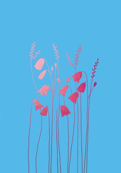 Echinacea  Blank Pink Greeting Card