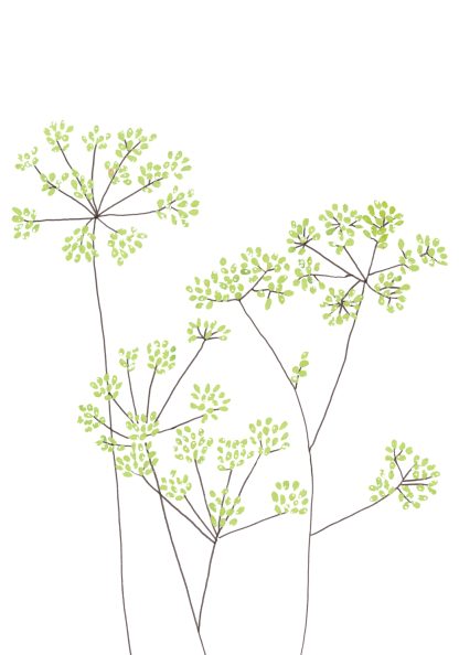 Fennel Greeting Card