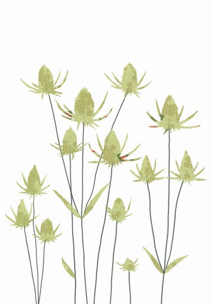 Teasels Greeting Card