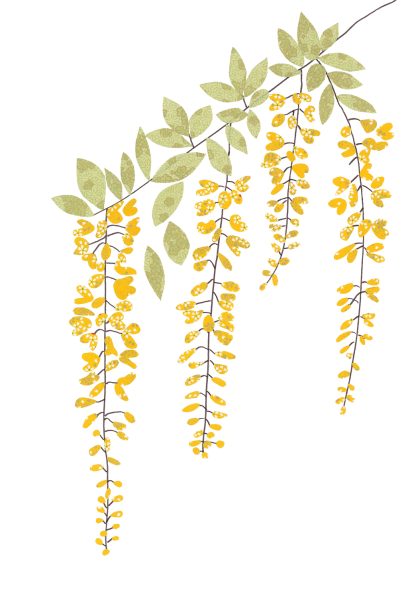 Laburnum Greeting Card