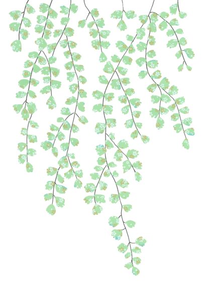 Maidenhair Fern Greeting Card