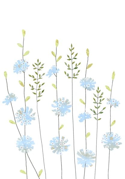 Chicory & Grass Greeting Card