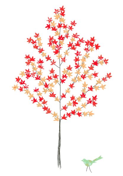 Maple Tree Greeting Card