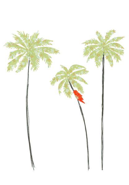Palm Trees Greeting Card