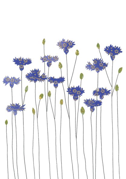 Cornflower Greeting Card