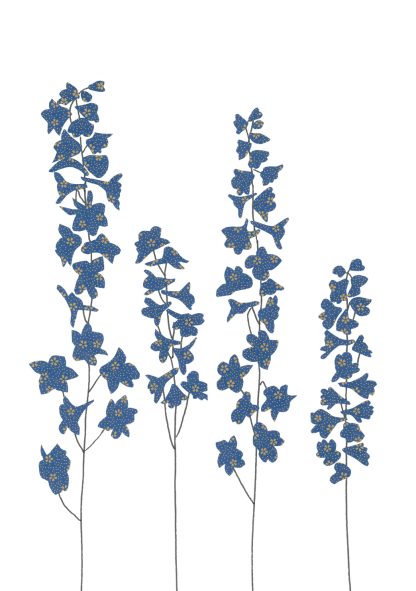 Delphinium Greeting Card