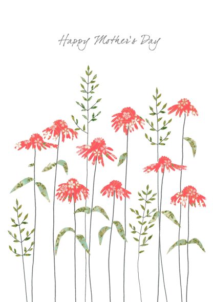 Echinacea Mother's Day Greeting Card