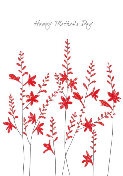 Crocosmia Mother's Day Greeting Card