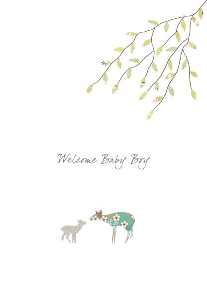 New Baby Boy Greeting Card