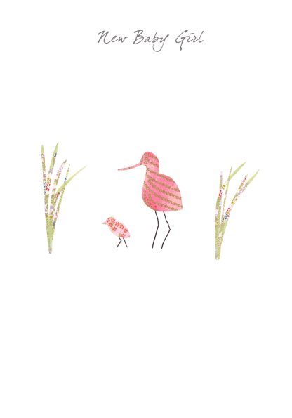 Avocet Baby Girl Greeting Card