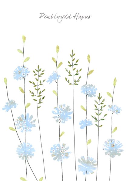 Chicory & Grass Penblwydd Hapus (Happy Birthday)