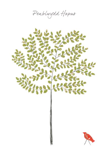 Oak Tree Penblwydd Hapus (Happy Birthday)