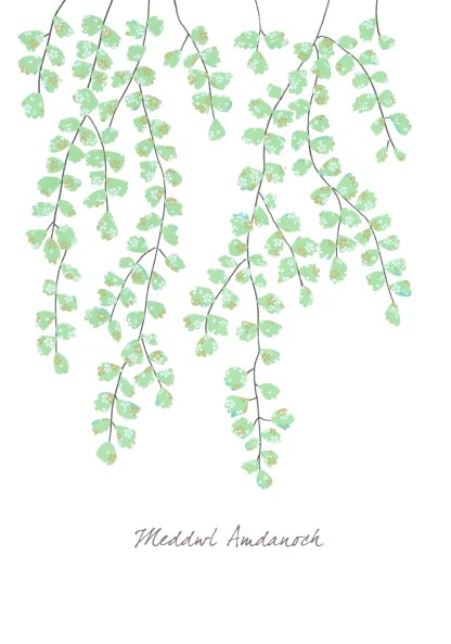 Maidenhair Fern Meddwl Amdanoch (Thinking of You)